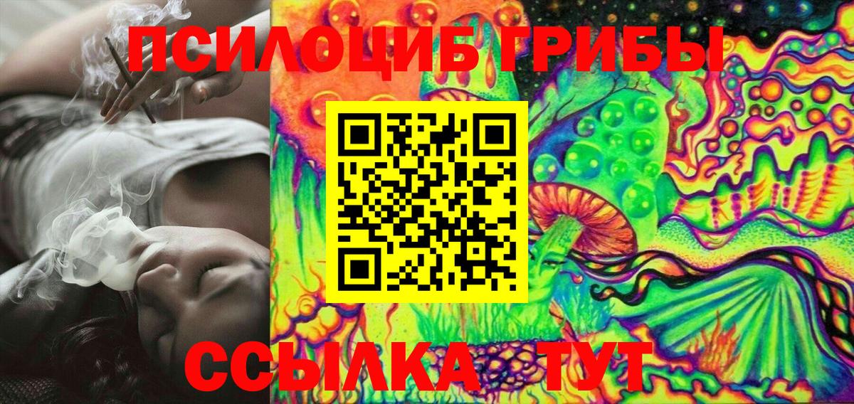 Псилоцибиновые грибы Psilocybe Джанкой