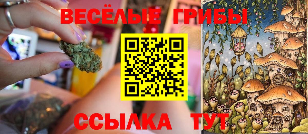 Галлюциногенные грибы MAGIC MUSHROOMS  Вход с VPN  Джанкой 